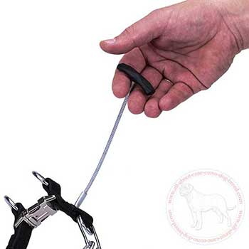 Handle of Cane Corso pinch collar on thread