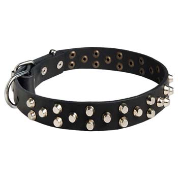 Designer Cane Corso Collar with 3 Rows Pyramid