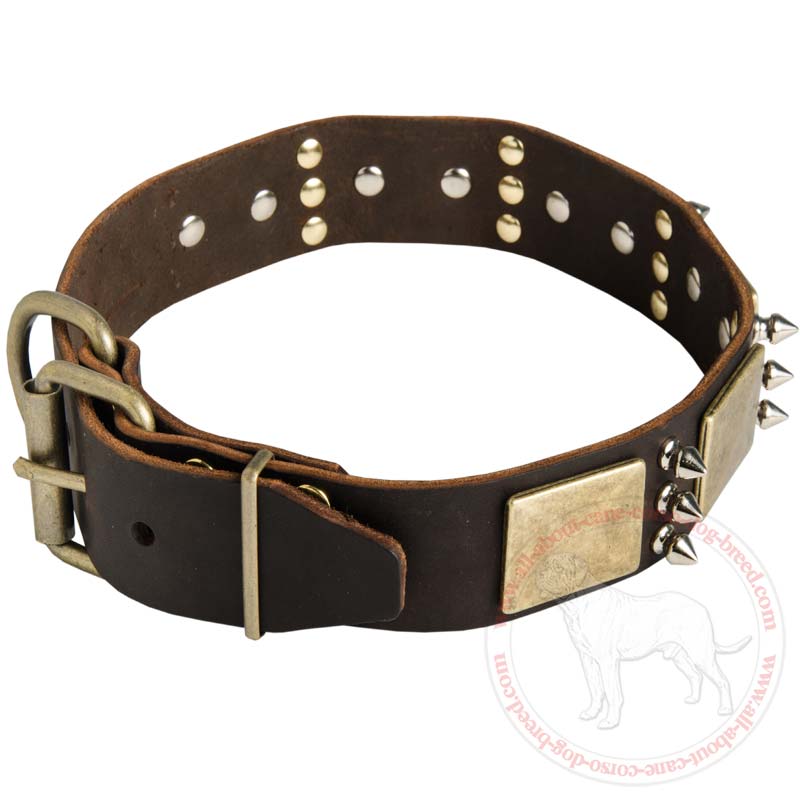 Purchase Walking Spiked Leather Cane Corso Collar | Brass Plates
