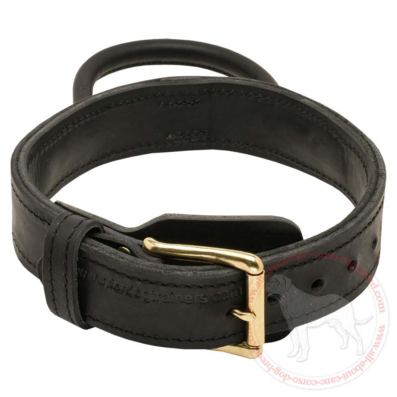 custom dog collars leather