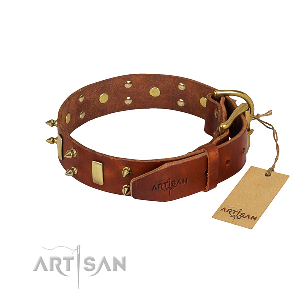 Resistant leather dog collar with rust-proof elements