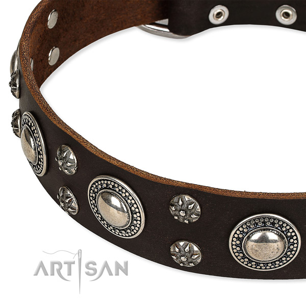 Adjustable leather dog collar with extra sturdy non-rusting hardware