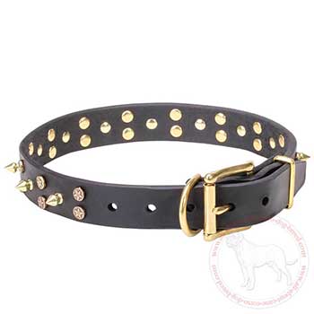 Leather dog collar for Cane Corso with brass fittings