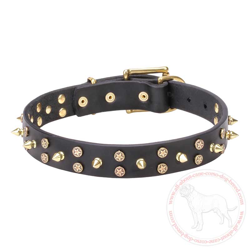 Buy Decorated Cane Corso Collar | Dog Training Supplies