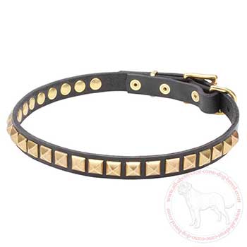 Narrow leather dog collar for Cane Corso
