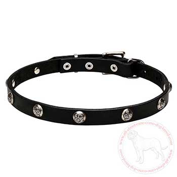 Fashion leather dog collar for Cane Corso