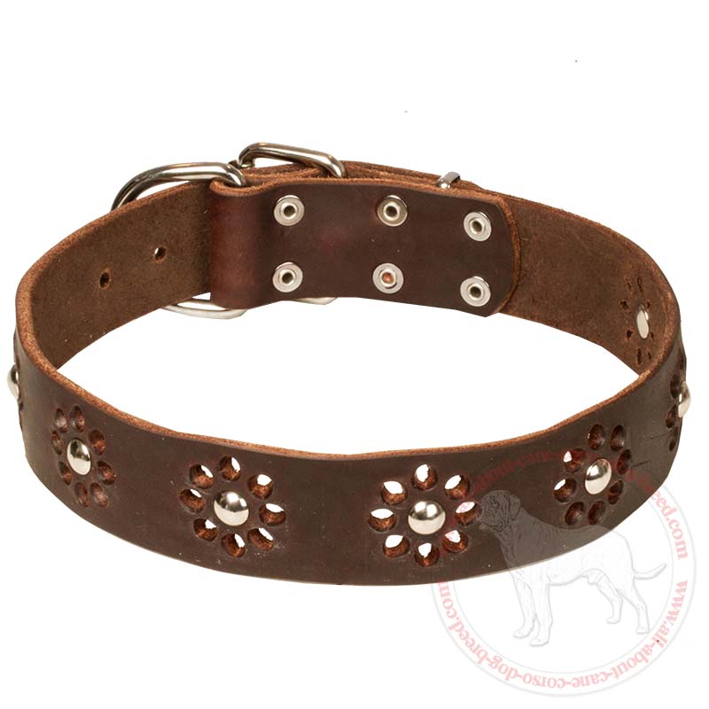 Buy Leather Cane Corso Collar Decorated Dog Gear