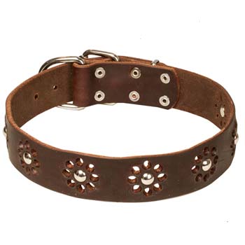 Designer leather dog collar for Cane Corso