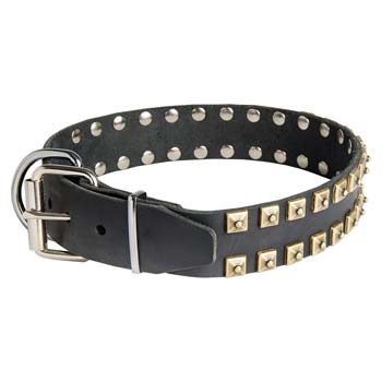 Handmade leather dog collar for Cane Corso with nickel plated fittings