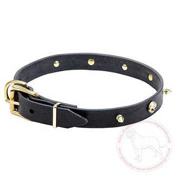 Narrow leather dog collar for Cane Corso