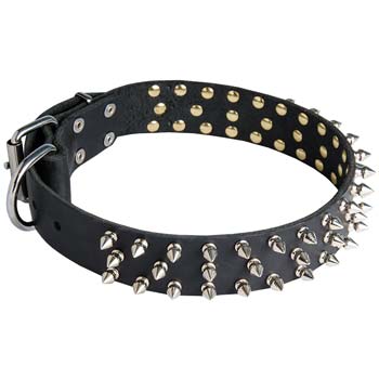 Fashion spiked leather dog collar for Cane Corso