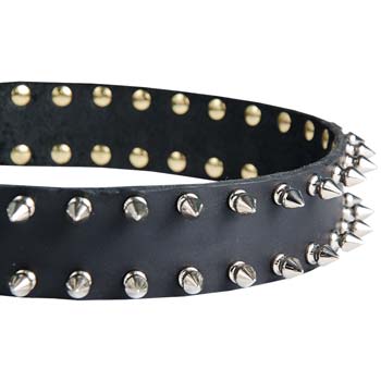 Reliable spiked leather dog collar for Cane Corso
