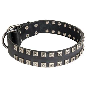 Training/Walking leather dog collar for Cane Corso