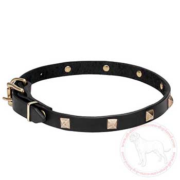 Durable leather dog collar for Cane Corso walking