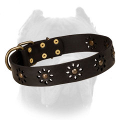 Leather dog collar for Cane Corso with flowers