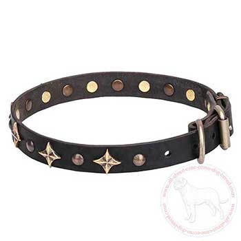 Fashion dog collar for Cane Corso with durable hardware