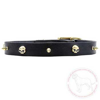 Adorned leather dog collar for Mastiff 