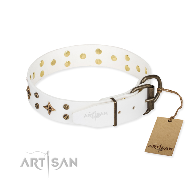 Daily use full grain leather collar with embellishments for your doggie