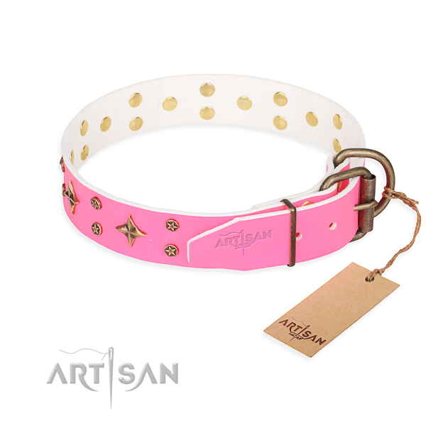 Daily use leather collar with studs for your doggie
