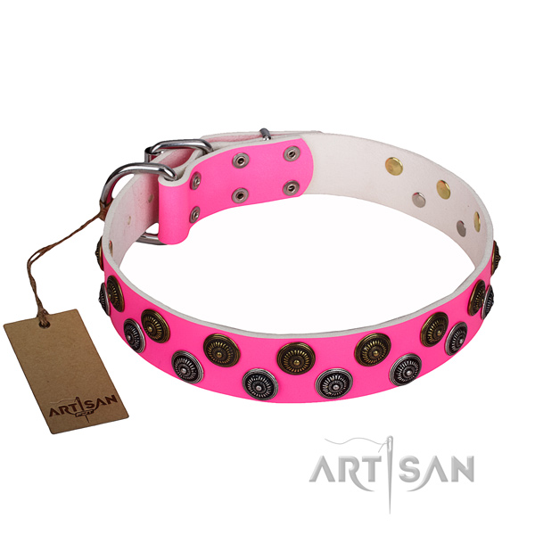 Exceptional full grain leather dog collar for everyday use