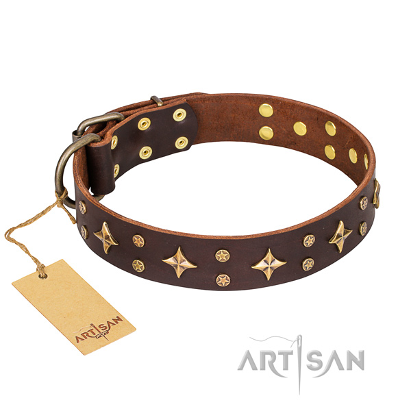 Trendy genuine leather dog collar for walking