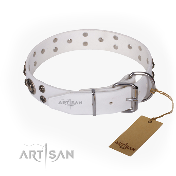 Everyday use leather collar with embellishments for your dog
