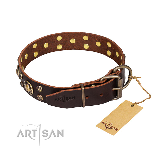 Daily use full grain natural leather collar with studs for your canine