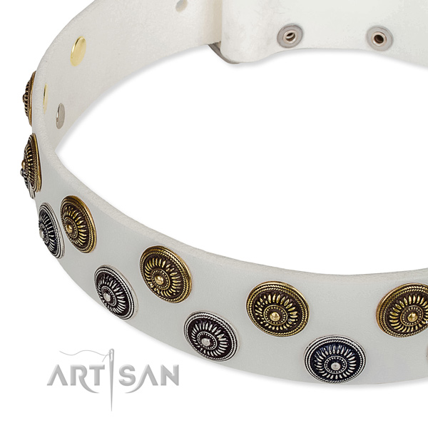 Genuine leather dog collar with remarkable embellishments