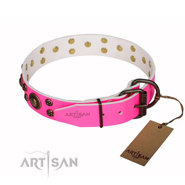 Exquisite full grain leather dog collar for everyday walking
