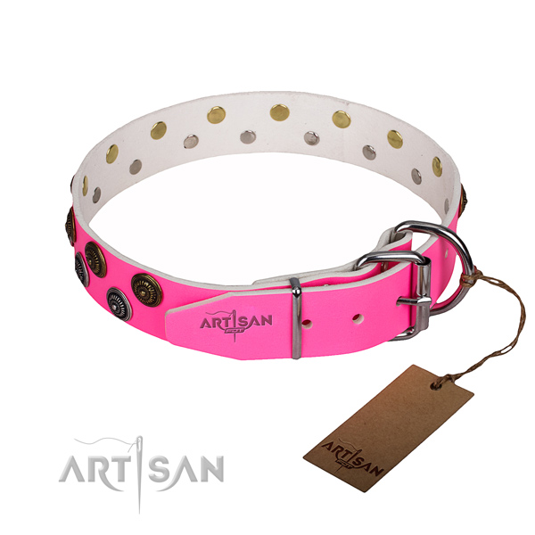 Walking leather collar with studs for your pet