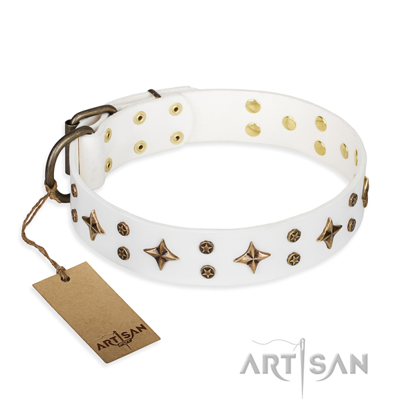 Stunning leather dog collar for stylish walking
