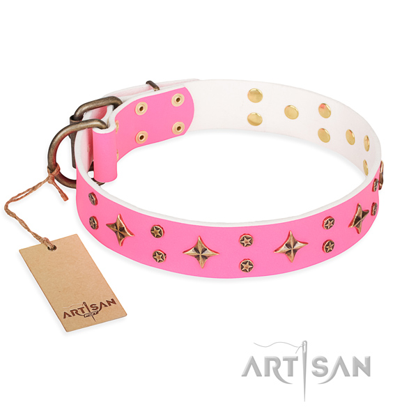 Extraordinary natural genuine leather dog collar for everyday use