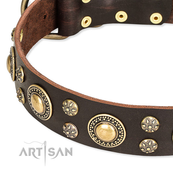 Fancy walking genuine leather collar with corrosion resistant buckle and D-ring