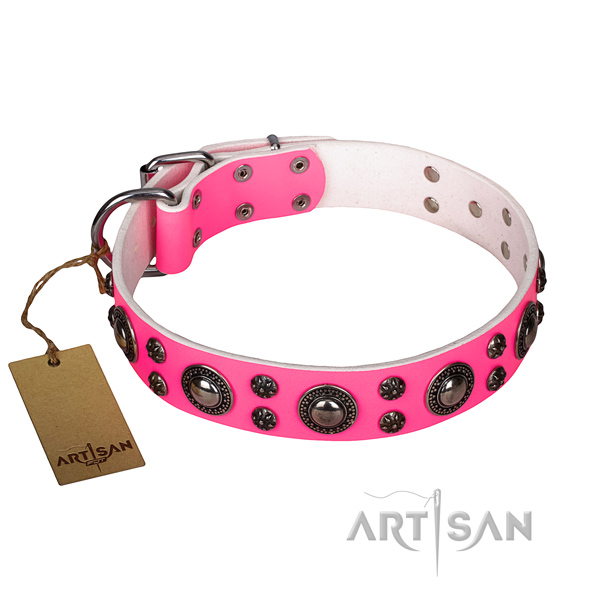 Stunning genuine leather dog collar for walking