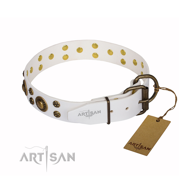 Unusual genuine leather dog collar for everyday use