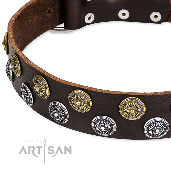 Genuine leather dog collar with top notch decorations