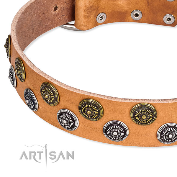 Genuine leather dog collar with top notch decorations