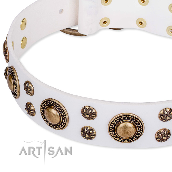 Leather dog collar with extraordinary embellishments