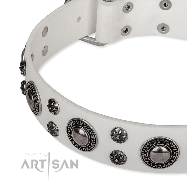 Walking leather collar with strong buckle and D-ring
