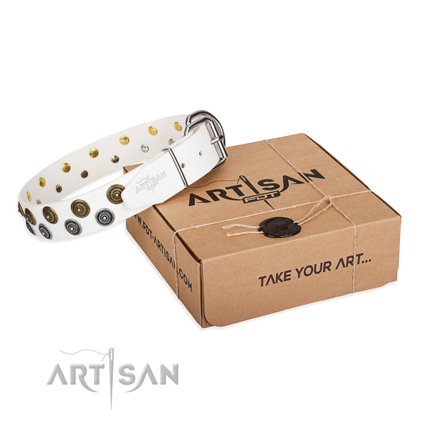 Genuine leather dog collar with studs for daily use