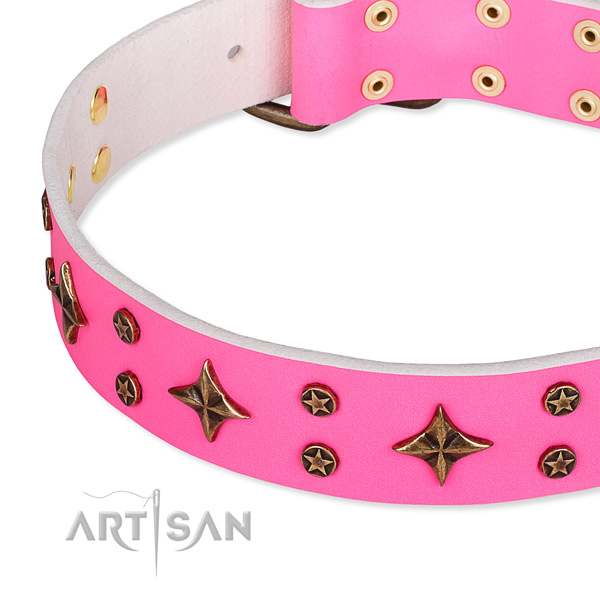 Full grain natural leather dog collar with unusual studs