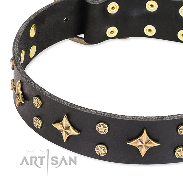 Full grain leather dog collar with inimitable studs