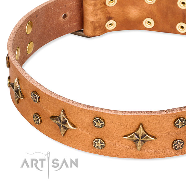 Full grain genuine leather dog collar with amazing embellishments