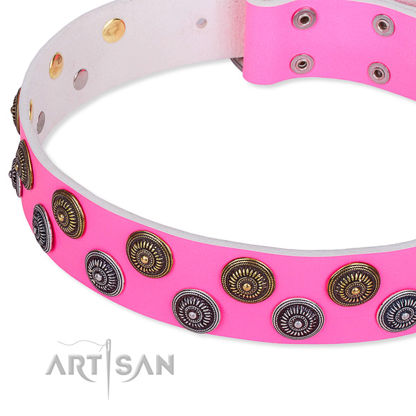 Full grain leather dog collar with awesome adornments