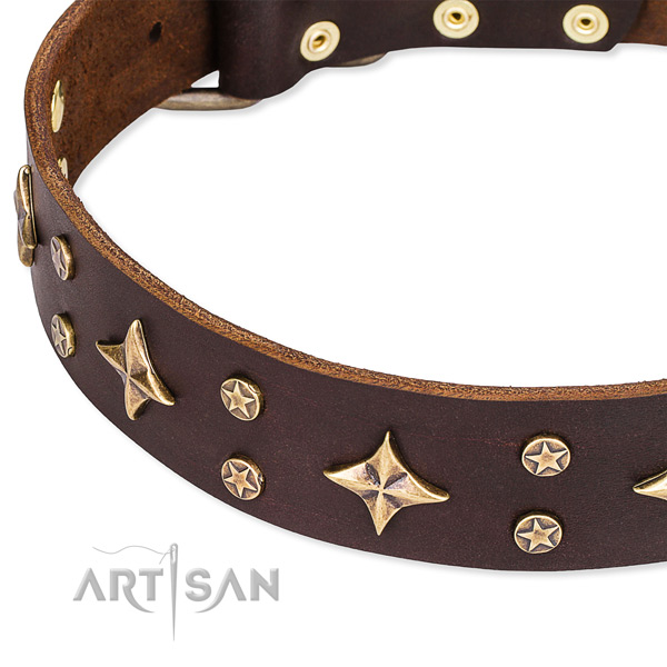 Full grain genuine leather dog collar with impressive decorations