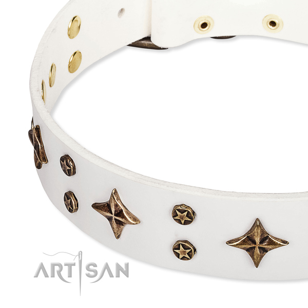 Full grain genuine leather dog collar with exquisite adornments