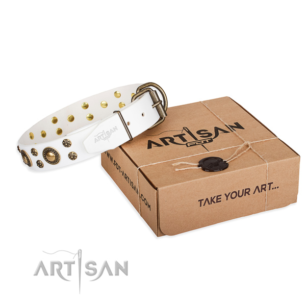 Full grain natural leather dog collar with decorations for stylish walking