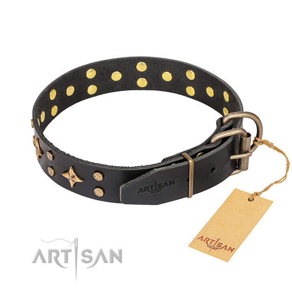 Daily walking genuine leather collar with adornments for your doggie