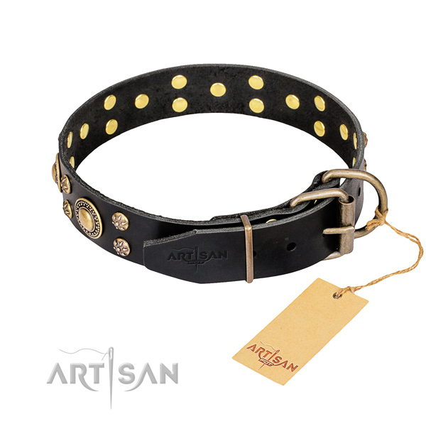 Daily walking full grain genuine leather collar with embellishments for your doggie