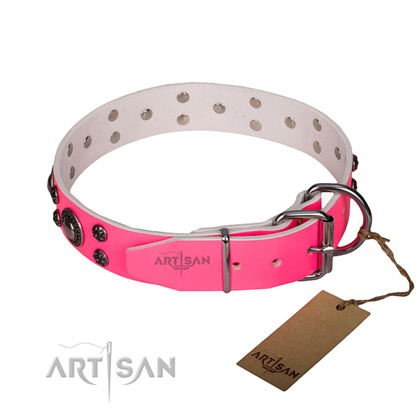 Everyday walking leather collar with rust resistant buckle and D-ring
